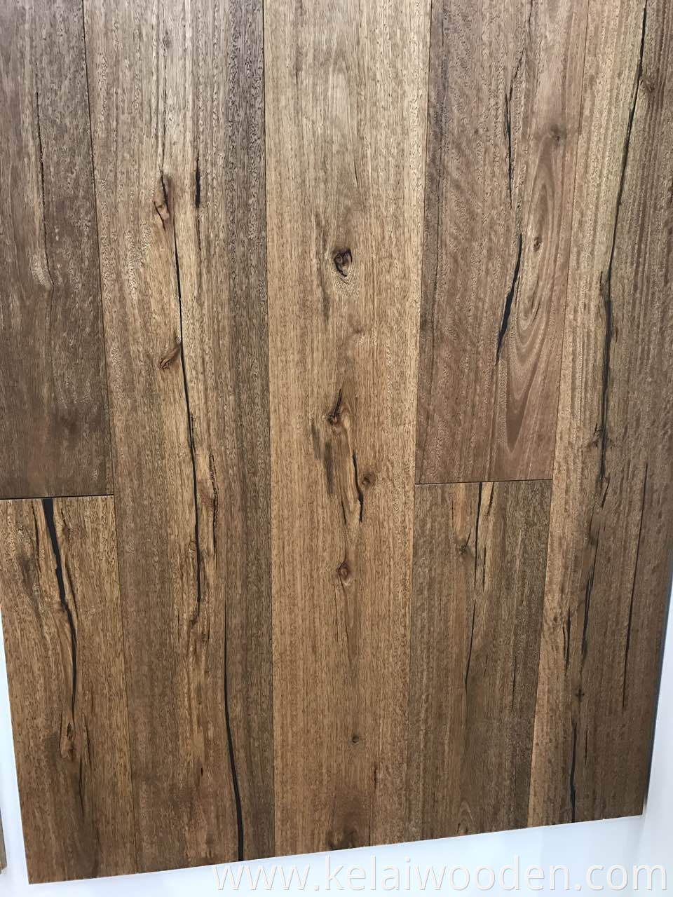 Australian Eucalyptus Engineered Floor with nature color